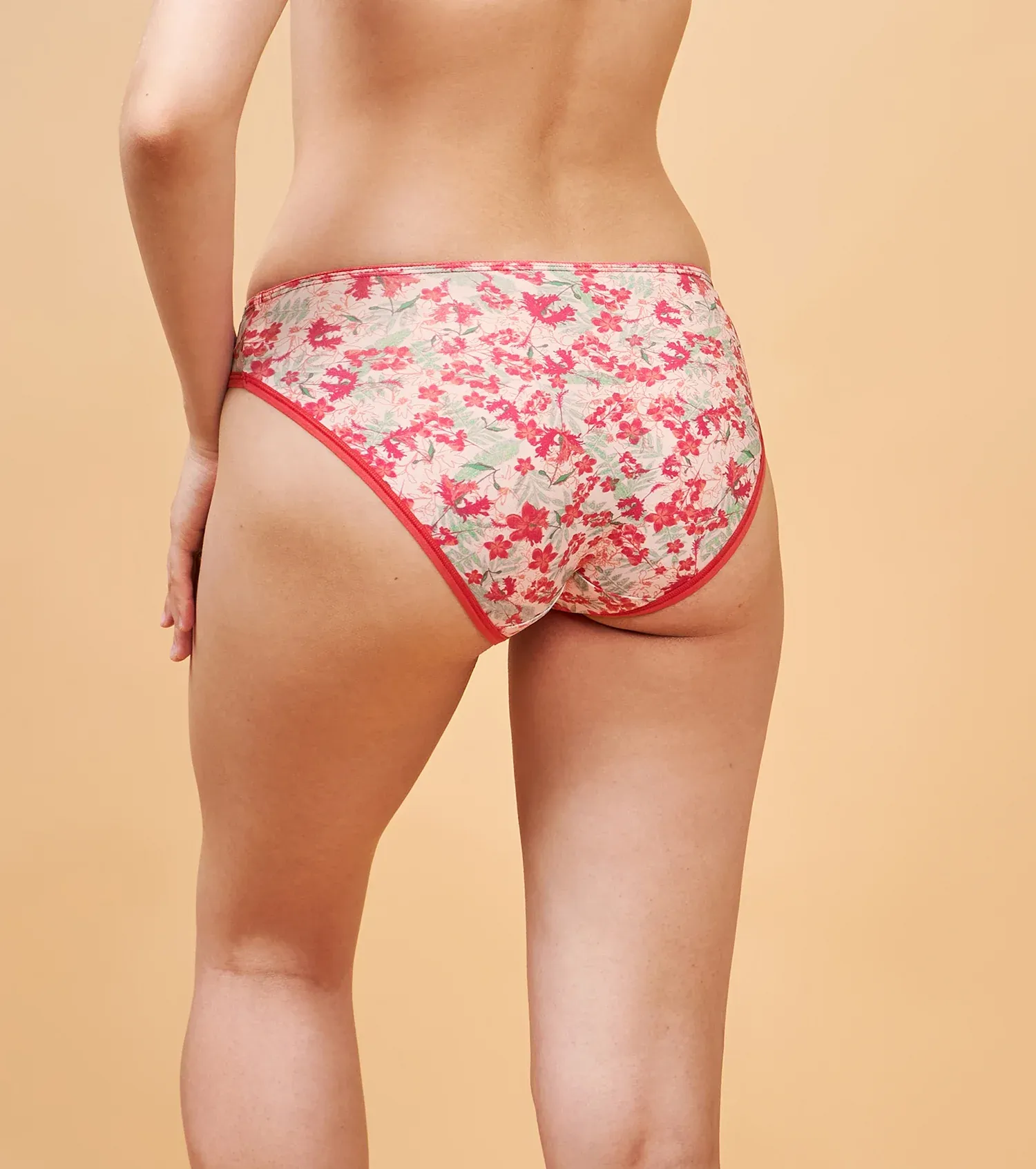 Enamor P000 Low Waist Women Hipster Multicolor Panty image 3