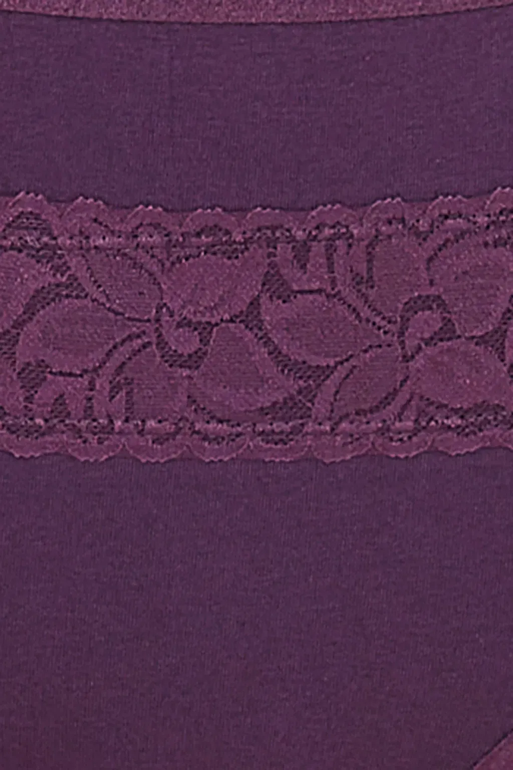 High Waist Hipster Panty in Purple with Lace Overlay - Cotton image 2