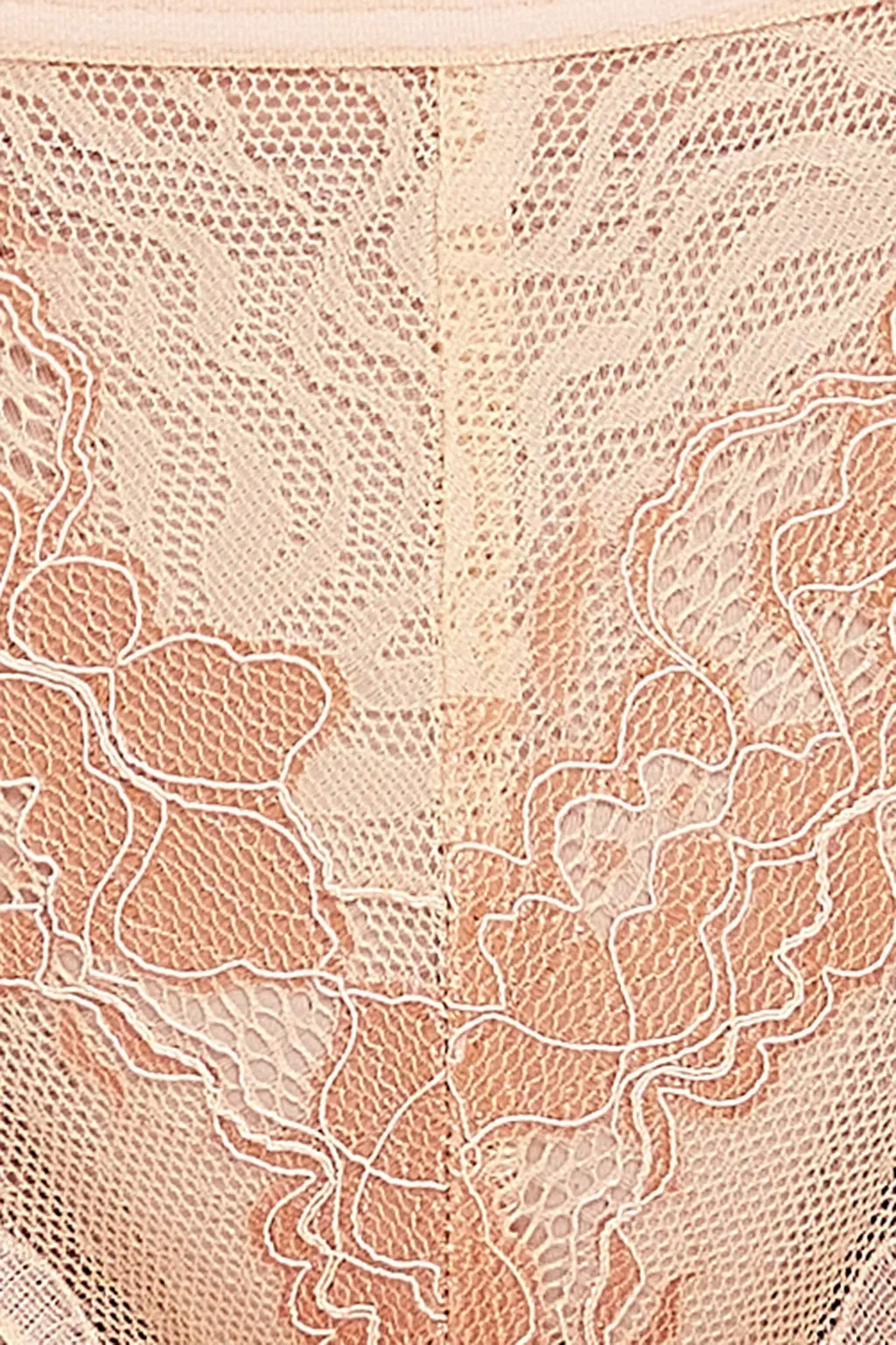 Low Waist Bikini Panty in Nude - Lace image 3